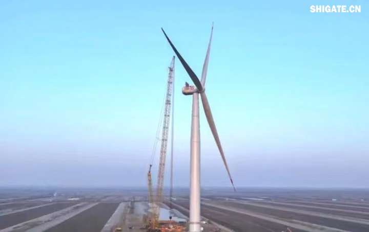 1月11日，全球最大功率等級的漂浮式風電機組——中國中車“啟航號”在山東東營風電裝備測試認證創新基地吊裝成功，標志著我國在海上超大型風機的探索邁出重要一步。該項目風電機組的配套塔筒是全球直徑最大、重量最重的塔筒型號，所用鋼板由河鋼集團舞鋼公司獨家提供。  微信圖片_20250220083217.jpg  舞鋼公司深入貫徹集團要求，以客戶需求為導向，大力開展技術營銷，不斷優化營銷方案，通過提供“一攬子”解決方案，滿足高端客戶對高品質產品和未來發展的需求，加速由生產型向“制造+服務”型企業轉變。該項目對產品抗沖擊性能及表面質量有著極為嚴苛的要求，且交貨期較短，生產難度相當大。為確保合同順利交付，舞鋼公司產線各單位協同聯動，強化工藝和生產過程控制，攻克了高強度與高延伸率匹配、低溫沖擊韌性匹配等一系列技術難題，確保了產品各項指標全部滿足客戶要求，并按期交付客戶。  微信圖片_20250220083224.jpg  “啟航號”20MW漂浮式海上風電塔筒是專門為20MW及以上海上漂浮式風機提供系統解決方案而設計的，是全球最大功率漂浮式風電機組的配套塔筒，總高度為141.15米，最大直徑12米，重量達到了1576噸。