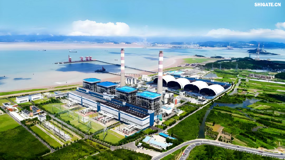 鍋爐汽包是火力發(fā)電關鍵設備，其核心材料的質量直接影響到整個發(fā)電機組的安全性和效率。面對現(xiàn)場設備受限、工藝復雜、生產(chǎn)交貨期緊張等挑戰(zhàn)，舞鋼優(yōu)化生產(chǎn)流程，創(chuàng)新生產(chǎn)工藝，提供的高韌特厚板具有較高的純凈度、致密度、組織均勻性及較高的韌性、良好的中高溫性能，能夠滿足650℃高效超超臨界燃煤發(fā)電機組在高溫高壓環(huán)境下的運行要求，并提前15天高質量交付，滿足了客戶急需。   華能玉環(huán)電廠四期項目擬建設1臺100萬千瓦級650攝氏度高效超超臨界一次再熱燃煤發(fā)電機組，機組設計主汽壓力達到35兆帕，主蒸汽和再熱蒸汽溫度均達到650攝氏度，是目前世界范圍內(nèi)燃煤機組最高參數(shù)，將大幅提高發(fā)電效率。與現(xiàn)有機組相比，650攝氏度等級高效超超臨界燃煤機組可提升發(fā)電效率約4個百分點，度電煤耗可降低約10%，每年可減少二氧化碳排放量約45萬噸。  作為國家重大科技攻關項目，該機組采用中國華能研發(fā)的我國具有自主知識產(chǎn)權的高溫合金新材料，實現(xiàn)了關鍵高溫材料技術的完全自主可控，打破傳統(tǒng)燃煤發(fā)電的熱效率瓶頸，實現(xiàn)“用更少的煤發(fā)更多的電”。  項目建成后將大幅提升煤電清潔高效利用水平，同時推動國產(chǎn)裝備制造能力全面升級，為實現(xiàn)我國能源安全與“雙碳”目標提供重要支撐。